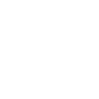 Image 1 of Crown Decal
