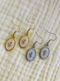 Image 1 of Regency Roses