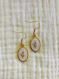 Image 2 of Regency Roses