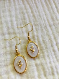 Image 3 of Regency Roses
