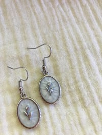 Image 5 of Regency Roses