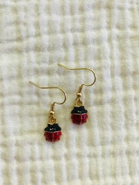 Image 2 of Lil’ Ladybugs