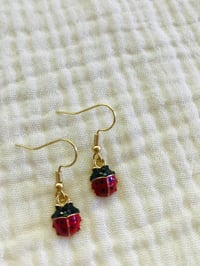 Image 3 of Lil’ Ladybugs