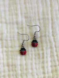 Image 4 of Lil’ Ladybugs