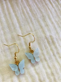Image 6 of Butterfly Beauties