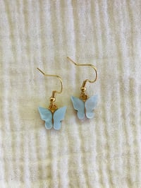Image 7 of Butterfly Beauties