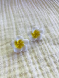 Image 5 of Aloha Plumeria Studs