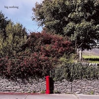 Big Nothing - Big Nothing green vinyl LP