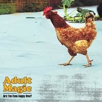 Adult Magic - Are You Even Happy black vinyl LP
