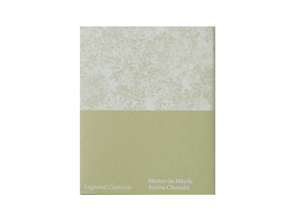 Image of Lagoonal Capriccio - Matteo de Mayda, Amina Chouairi