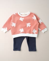 Image 5 of Sweat Charlie · Oiseaux