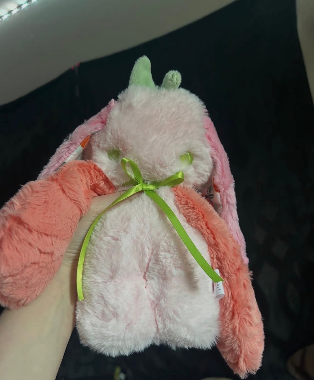 Image of cara the orange bunny