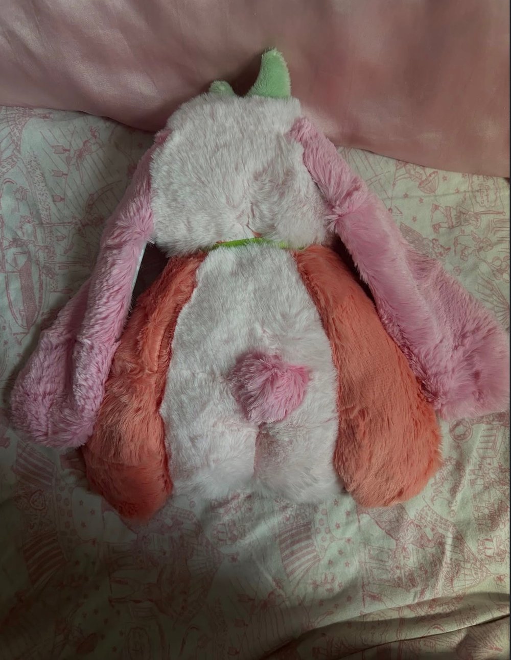 Image of cara the orange bunny
