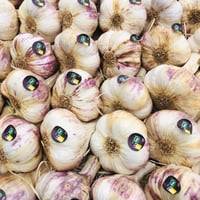Image 1 of French Cadours P.D.O. 2026 Garlic Bulbs