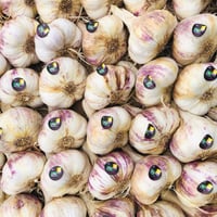 Image 2 of French Cadours P.D.O. 2026 Garlic Bulbs