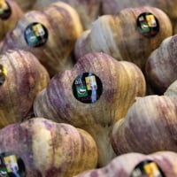 Image 3 of French Cadours P.D.O. 2026 Garlic Bulbs