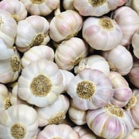 French Rose du Tarn Hardneck Pink Garlic Bulbs