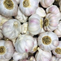 Image 2 of French Label Rouge I.G.P Lautrec Pink Garlic Bulbs