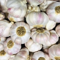 Image 1 of French Label Rouge I.G.P Lautrec Pink Garlic Bulbs