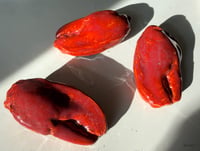 Image 2 of Maine Lobster Claw Ceramic Sculpture 