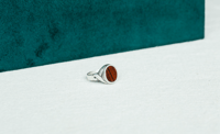 Image 2 of Cocobolo Ring 9