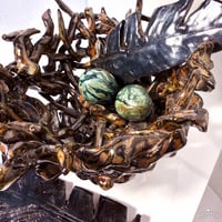 Image 1 of Nest