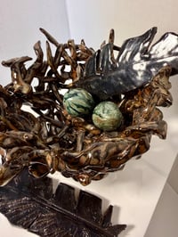 Image 2 of Nest