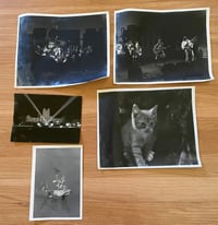 Vintage 1970's Photos of the Band Heart, Kitty and More