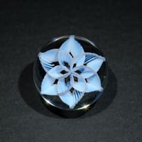 Image 1 of UV Lavender Tri-cello Marble 