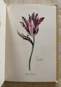 Image 2 of Tulipomania A King Penguin Book