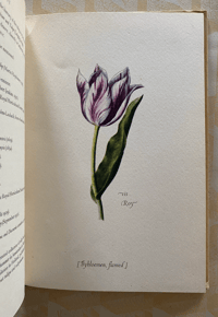Image 3 of Tulipomania A King Penguin Book