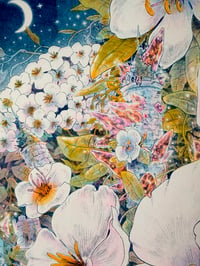 Image 4 of Cosmic flower