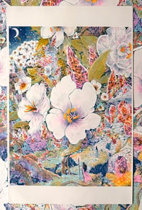 Image 1 of Cosmic flower