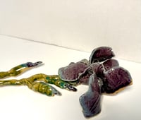 Image 4 of Purple Iris