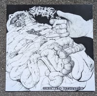 Image 2 of SULFURIC CAUTERY "CONSUMMATE EXTIRPATION" LP