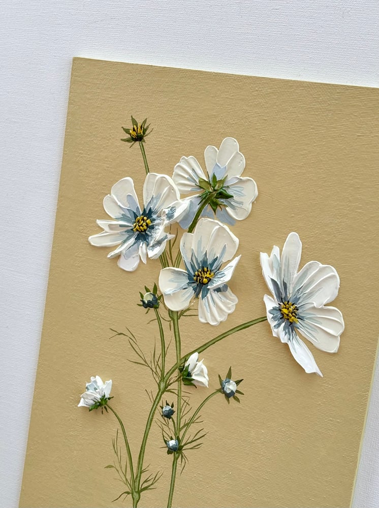 Image of Cosmos On Ochre 