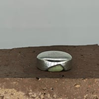 Image 4 of glow cast pewter coin