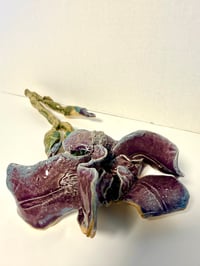 Image 5 of Purple Iris
