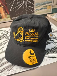 Image 1 of Big Dawg Hat