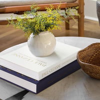 Image 3 of The Hidden Chapters Storage Books