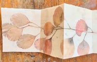 Image 2 of **NEW** The Sculptural Card Studio: Gelli Print & Concertina Collage - a 2 part course 