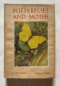 Image 1 of Butterflies and Moths Shown Series