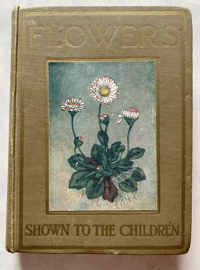 Image 1 of Flowers Shown to the Children
