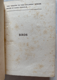 Image 5 of Birds Shown to the Children
