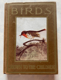 Image 1 of Birds Shown to the Children