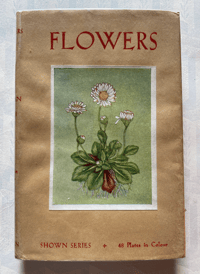 Image 1 of Flowers from the Shown Series