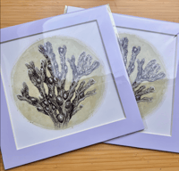 Image 3 of Pencil Study of Bladderwrack (Fine Art Giclée Print)