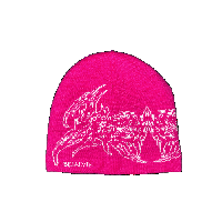 BEJALVIN SATIN LINED BEANIE