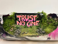 Image 3 of Trust No one 