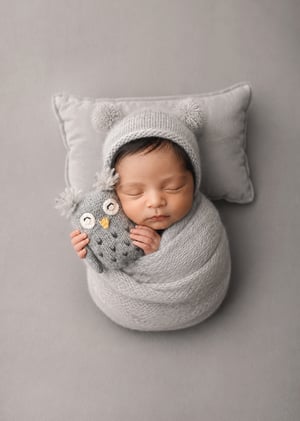 Image of Ollie Owl Lovie